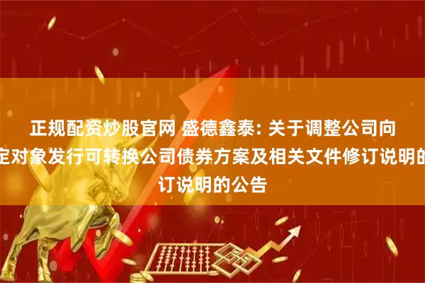 正规配资炒股官网 盛德鑫泰: 关于调整公司向不特定对象发行可转换公司债券方案及相关文件修订说明的公告